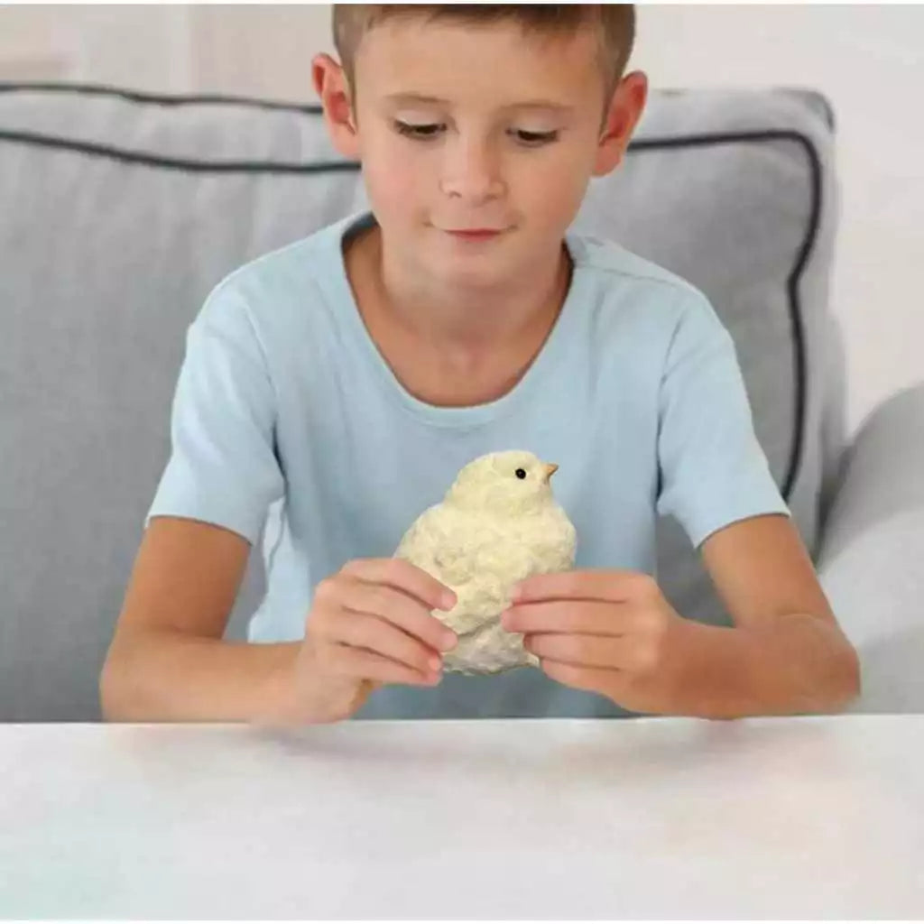 Brinquedo Pintinho Squishy Antiestresse – Fidget Sensorial